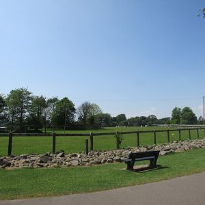 Fota Wildlife Park - African savanna