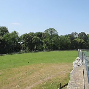 Fota Wildlife Park - View from the African savanna lookout