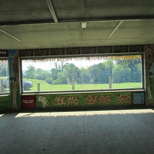 Fota Wildlife Park - African savanna viewing pane