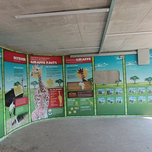 Fota Wildlife Park - Informative signage