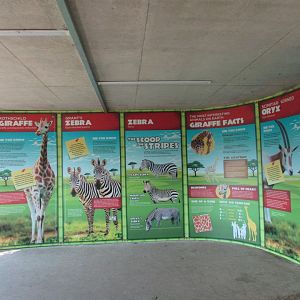 Fota Wildlife Park - Informative signage