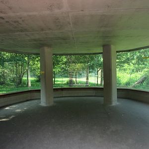Fota Wildlife Park - Asiatic lion viewing pane