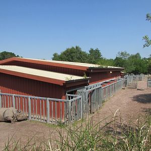 Fota Wildlife Park - Indian rhinoceros shelter