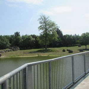 Fota Wildlife Park - Part of the Indian rhinoceros exhibit