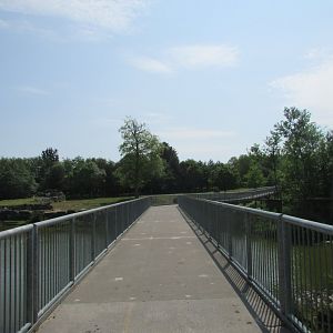 Fota Wildlife Park - Overpass above the Indian rhinoceros exhibit