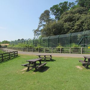 Fota Wildlife Park - Part of the Sumatran tiger exhibit