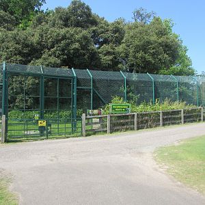 Fota Wildlife Park - Part of the Sumatran tiger exhibit
