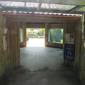 Fota Wildlife Park - Part of the Sumatran tiger exhibit