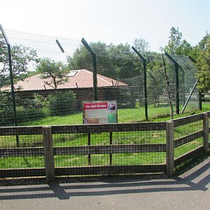 Fota Wildlife Park - Lion-tailed macaque exhibit and informative signage