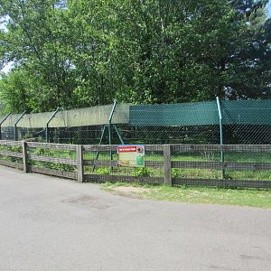 Fota Wildlife Park - Red panda exhibit and informative signage