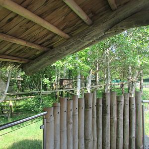 Fota Wildlife Park - First red panda exhibit