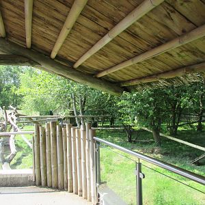 Fota Wildlife Park - Second red panda exhibit