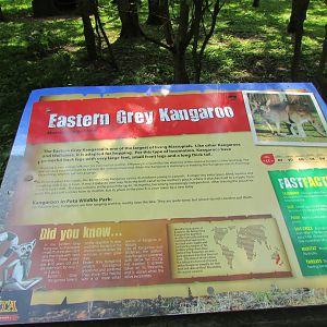 Fota Wildlife Park - Informative signage