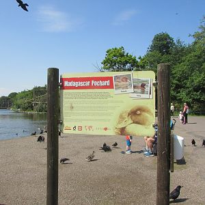 Fota Wildlife Park - Informative signage