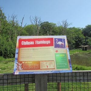 Fota Wildlife Park - Informative signage