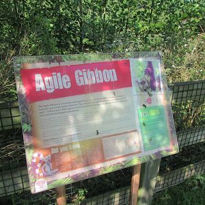 Fota Wildlife Park - Informative signage