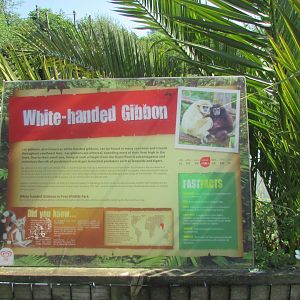 Fota Wildlife Park - Informative signage