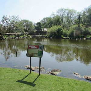 Fota Wildlife Park - Informative signage and landscaping