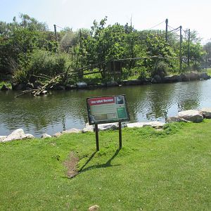 Fota Wildlife Park - Informative signage