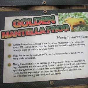 Fota Wildlife Park - Informative signage