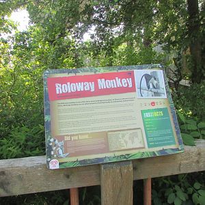 Fota Wildlife Park - Informative signage
