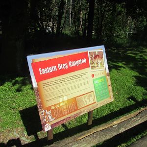 Fota Wildlife Park - Informative signage