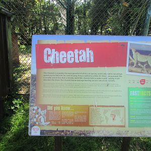Fota Wildlife Park - Informative signage