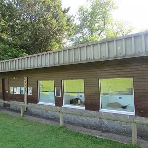 Fota Wildlife Park - Nursery