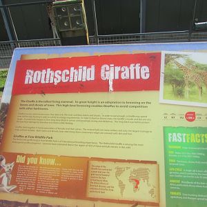 Fota Wildlife Park - Informative signage