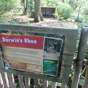 Fota Wildlife Park - Informative signage
