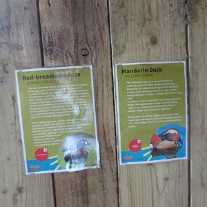 Fota Wildlife Park - Informative signage