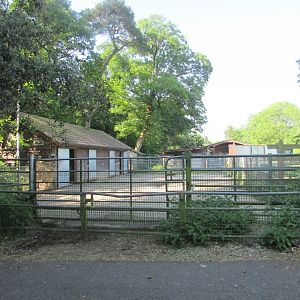 Fota Wildlife Park - Oryx barn