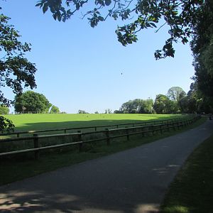Fota Wildlife Park - African Savanna from the oryx barn