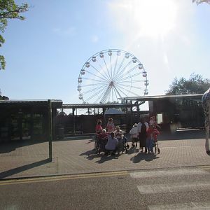 Fota Wildlife Park - Entrance gate