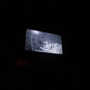 Dublin Zoo - Monitor inside aye-aye exhibit