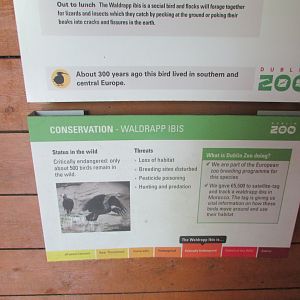 Dublin Zoo - Informative signage