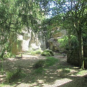 Dublin Zoo - Northern bald ibis aviary