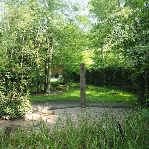 Sudan cheetah exhibit viewing window, 2023-05-13
