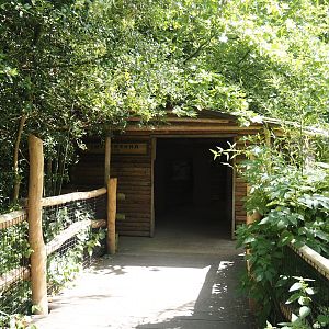 Dalmatian pelican and Eurasian greater cormorant viewing cabin, 2024-06-30