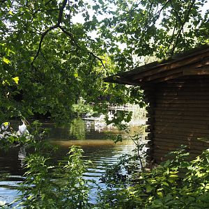 Dalmatian pelican and Eurasian greater cormorant exhibit and viewing cabin, 2024-06-30