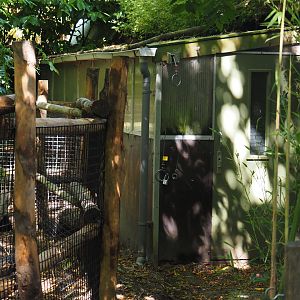 Negros Visayan warty pig barn, 2024-06-30