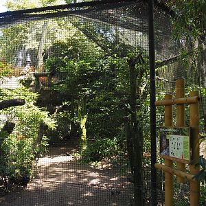 Rock eagle-owl aviary, 2024-06-30