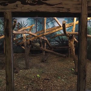 Lion-tailed macaque indoor exhibit, 2024-06-30
