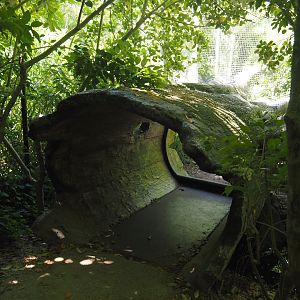 Fake hollow log viewing area for the fishing cat exhibit, 2024-06-30