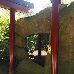 Fishing cat house, 2024-06-30