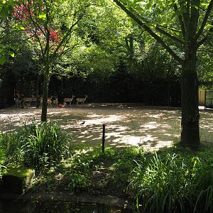 Blackbuck separation paddock, 2024-06-30