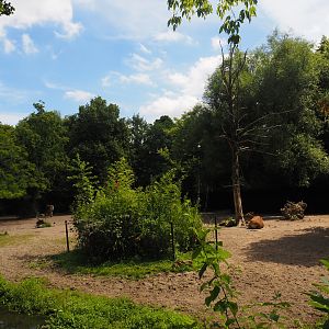 Javan banteng and Blackbuck paddock, 2024-06-30