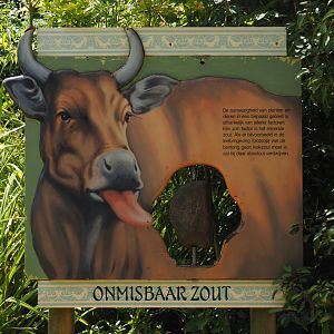 Javan banteng salt lick signage, 2024-06-30