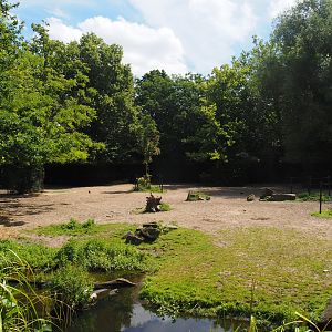 Javan banteng and Blackbuck paddock, 2024-06-30
