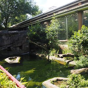 Eurasian otter exhibit, 2024-06-30
